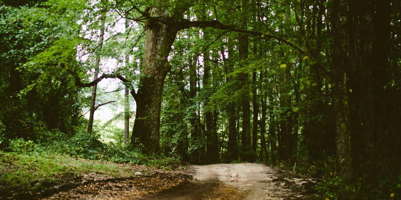 2024年最适合自由职业者的在线平台深度对比：寻找最佳remote work与work from home机会