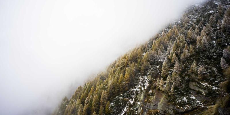 Freelance34: Your Gateway to Flexible Jobs, Digital Nomad Freedom, and Freelance Success