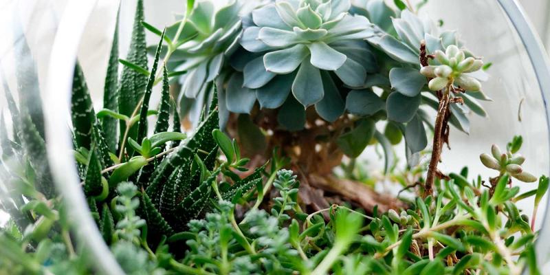 Freelance93：波西米亚精神与数字游牧时代的远程工作革命