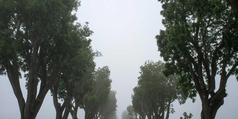 Freelance94：O-Worker时代，独立承包商如何拥抱波西米亚式生活哲学