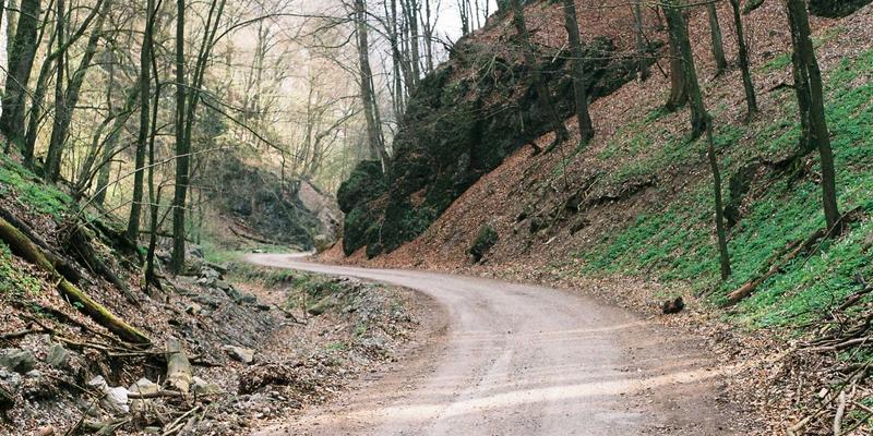 Freelance98:在家工作与波西米亚生活方式的完美融合