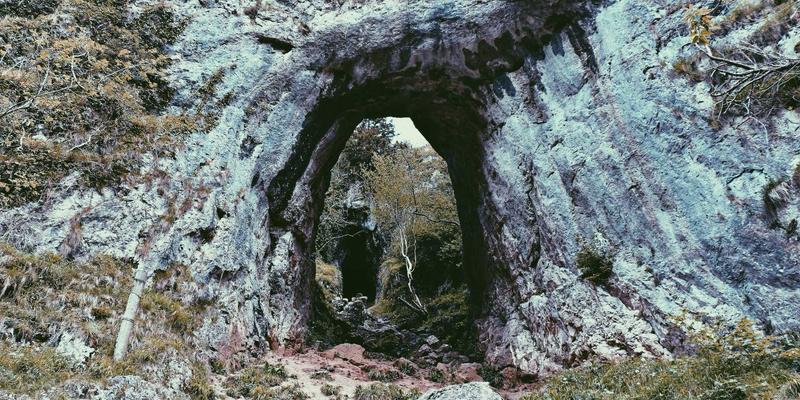 Freelance入门指南:如何开启远程工作与居家办公的自由职业生涯