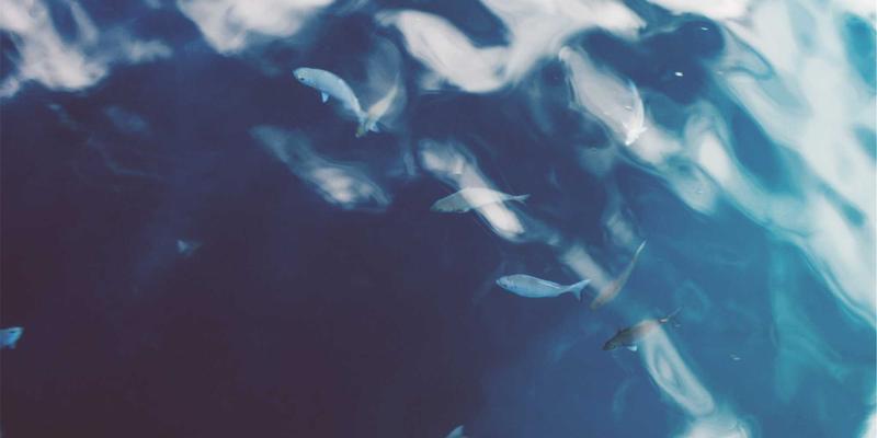 O-Worker时代：自由职业如何重塑职场与波西米亚式生活