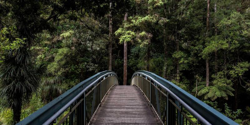 O-Worker进阶指南：自由职业者如何通过技能升级与利基市场选择实现专业跃迁