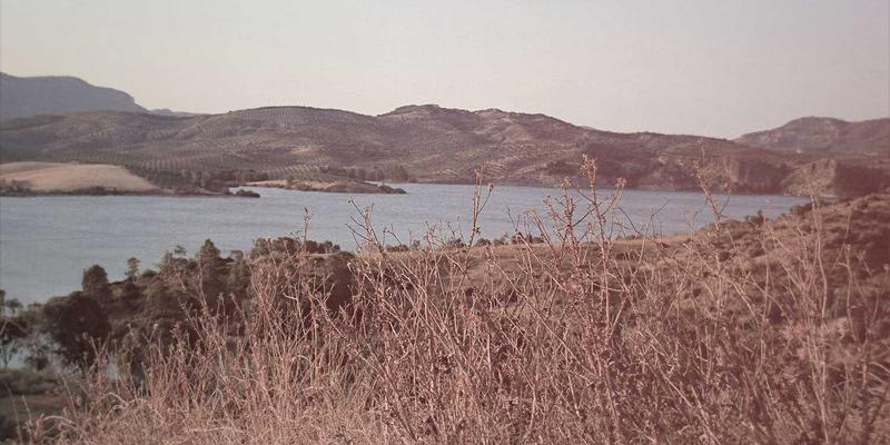 从独立工作者到数字游民：如何用自动化与外包实现业务规模化