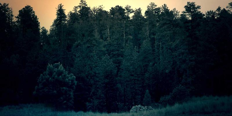 从自由职业到波西米亚生活：打造专业个人品牌，吸引高端远程工作客户