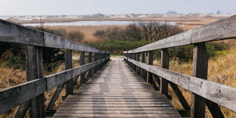 从零构建自由职业作品集：解锁Flexible Jobs与波西米亚式生活