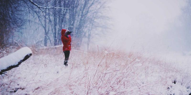 告别时间囚笼：自由职业者如何基于价值定价，实现真正的Bohemian Lifestyle与Remote Work自由