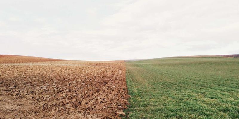 拥抱Bohemian Lifestyle：O-Worker如何通过个人品牌获取Flexible Jobs