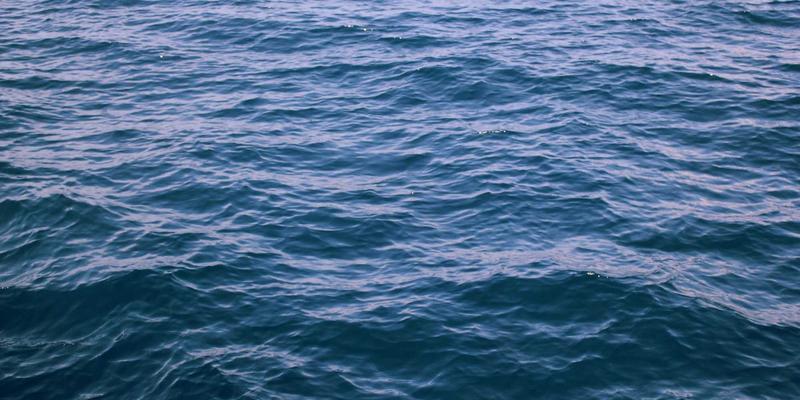 数字游民自由职业完全指南：从波西米亚梦想到可持续收入