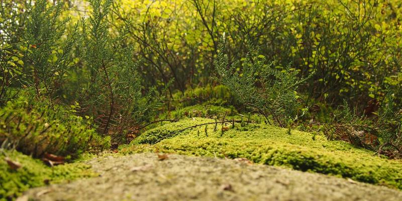 自由职业者如何应对项目范围蔓延：独立承包商的实用策略与远程沟通技巧