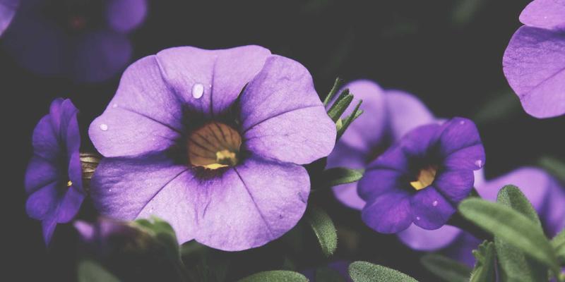 自由职业者沟通全攻略：从询价到交付，打造成功的独立工作模式